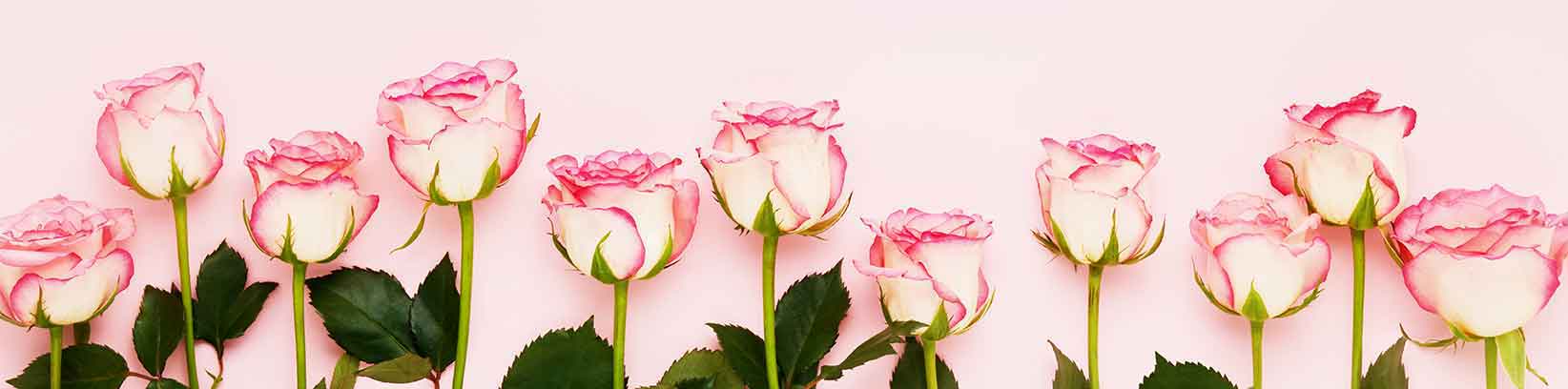 Valentine-Menue2