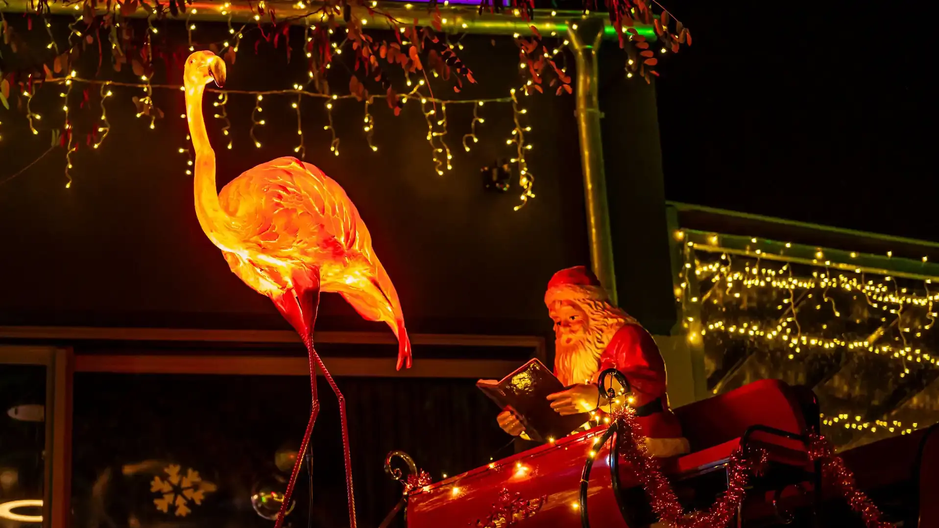 XMAS THE FLAMINGO 206 - DKF_3845